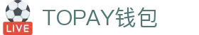TOPAY钱包 - 安全便捷的个人财务管理工具